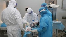 Mổ cấp cứu thành công cho sản phụ mắc COVID-19 bị suy hô hấp nặng