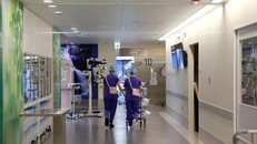 Dịch bệnh tại miền Tây Nhật Bản trở nên nghiêm trọng