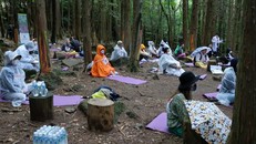 Vào rừng thiền để 'trốn tránh' dịch bệnh