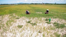 Nắng nóng ở Trung Bộ có khả năng kéo dài đến giữa tháng 6