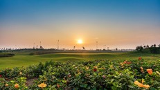 Sân golf tại quần thể nghỉ dưỡng FLC Sầm Sơn (Thanh Hoá).