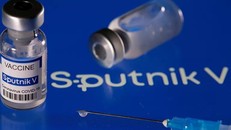 Vaccine Sputnik V kém hiệu quả đối với biến thể Delta