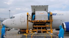 Triển khai quyết liệt 'ngoại giao vaccine' - Giải pháp cấp bách, lâu dài