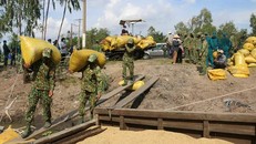 Chi viện vật tư, nhân lực các tỉnh, thành phía Nam