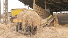 Dây chuyền băm Rơm tự động do anh Sơn sáng chế. 