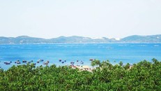 Phú Yên: Đánh thức tiềm năng bất động sản Sông Cầu 