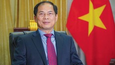 Ngành Ngoại giao: Lực lượng chủ lực và xung kích trên mặt trận đối ngoại