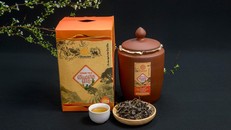 Nuôi trà trong…chum 