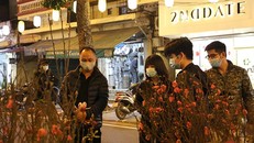 Khai mạc chợ hoa truyền thống Hàng Lược