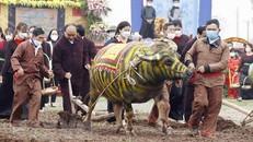 Trong trang phục nhà nông, Chủ tịch nước Nguyễn Xuân Phúc đã cùng các đại biểu và người dân địa phương thực hiện nghi thức tịch điền, cày những luống đất đầu tiên, khởi đầu cho mùa vụ mới bội thu.