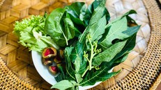 Nhật ký 99 ngày xuyên Việt: Chuyện về những chiếc lá trong vườn người Thái 