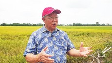 Giáo sư Võ Tòng Xuân được Chính phủ Nhật Bản trao huân chương