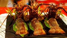 Sẽ xác lập kỷ lục Guiness Việt Nam '100 món ăn từ Tôm hùm' tại Phú Yên 