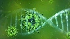 Chưa có bằng chứng virus Langya lây từ người sang người