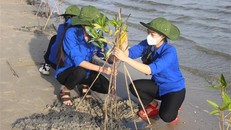 LHQ đánh giá cao cam kết về hành động vì khí hậu của Việt Nam 