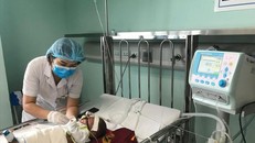 Gia tăng bệnh nhi mắc bệnh hô hấp tại TP HCM