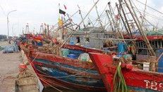 Các tỉnh, thành phố chủ động ứng phó với bão Nesat 