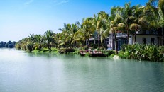 Ecopark dành hơn 100ha cho cây xanh và mặt nước.