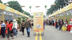 Khai mạc Lễ hội hoa Mê Linh năm 2022 