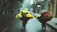 Miền Bắc đón Tết trong tiết trời rét đậm, miền Nam thời tiết đẹp