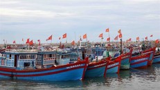 Hàng trăm tàu cá Hải Phòng nằm bờ do thiếu thuyền viên