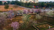 Hà Nội tháo gỡ vướng mắc, giao đất dịch vụ cho hơn 5.700 hộ dân Mê Linh