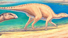 Phát hiện về loài khủng long mỏ vịt mới tại Chile