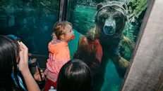 Sở thú liệu còn xứng với cái giá của lòng trắc ẩn?