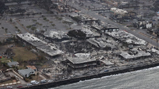 Cháy rừng tại Hawaii khiến 67 người thiệt mạng