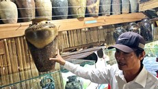 Gìn giữ dòng gốm cổ Quảng Đức