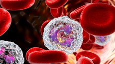 Cách thức hệ miễn dịch đối phó với tế bào ung thư