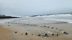 Xác định niên đại tàu cổ phát hiện tại Hội An