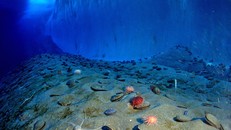 Hẻm núi khổng lồ dưới biển Nam Cực