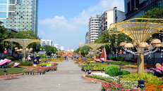 Tây Nguyên và Nam Bộ ít mưa vào dịp Tết