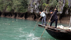 Xử lý triệt để rác thải trên vịnh Hạ Long