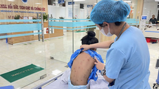 Sức khỏe 3 người bị ong đốt tại Hải Phòng đã ổn định