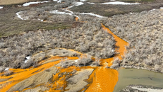 Sông ngòi ở Alaska chuyển màu cam