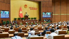 Nghị quyết 43 giúp Việt Nam “hạ cánh mềm”