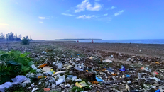 Bãi biển Diễn Châu bị “bức tử” vì rác thải