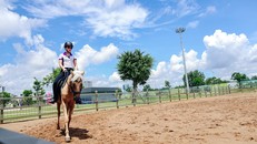 Trải nghiệm phong cách miền Viễn Tây với bộ môn cưỡi ngựa nghệ thuật, mang đến cho các em nhỏ những trải nghiệm cưỡi ngựa tuyệt vời và gắn kết tình yêu thương động vật. Đây là hoạt động vừa được City Park khai trương cuối tháng 6 vừa qua. 