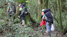 Giải cứu 5 sinh viên đi lạc trong rừng khi leo đỉnh Lang Biang