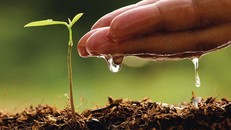 Lòng tin trong gian khó