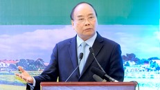 Thủ tướng ‘đặt hàng’ ngành nông nghiệp vào tốp 15 thế giới. Ảnh: VGP?Quang Hiếu