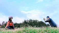 Khám phá đồi hoa tam giác mạch lớn nhất Sa Pa