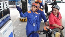 Bộ Tài chính cho rằng giá xăng trong nước còn rẻ so với nhiều nước nên phải tăng thuế lên 8.000 đồng/lít.