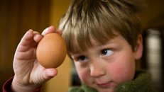 Trứng giàu giá trị dinh dưỡng song nếu kết hợp với một số thực phẩm có thể sẽ gây hại cho sức khỏe của bé