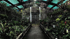 Nơi chuyên trồng và trưng bày các loại lan quý hiếm ở Thảo Cầm Viên