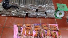 Quảng Nam: Bắt khẩn cấp đối tượng vận chuyển 50kg thuốc nổ bom