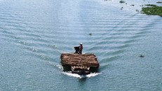 Ghe buôn tràm trên sông Vàm Cỏ Tây