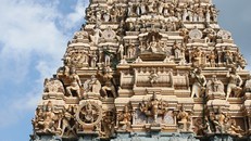 Ghé thăm chiếc nôi của Phật giáo